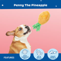 Penny Piña Barkbox, material crujiente que estimula sentidos