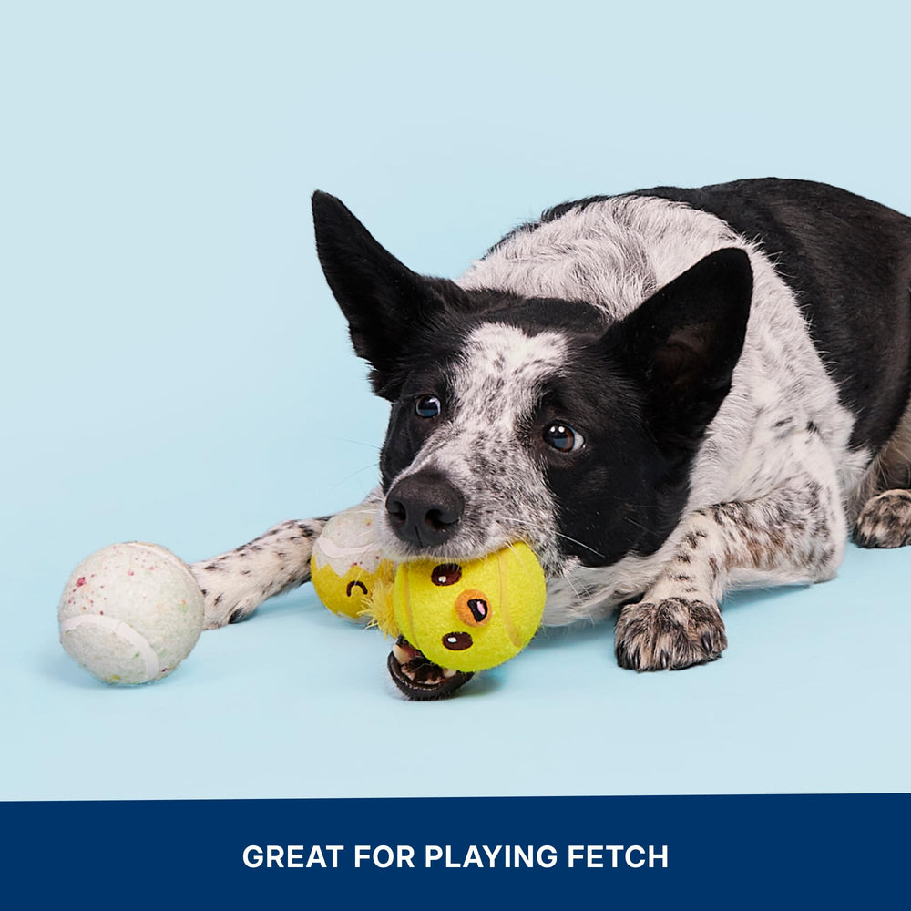 Barkbox Play Hatch: uso versátil dentro de casa y en exterior para perros
