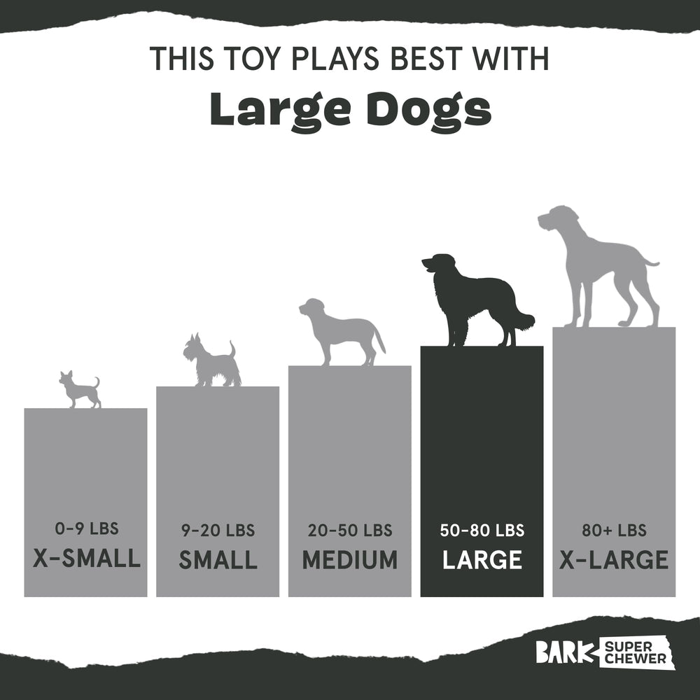 BarkBox Super Chewer juguete de alta calidad y duradero