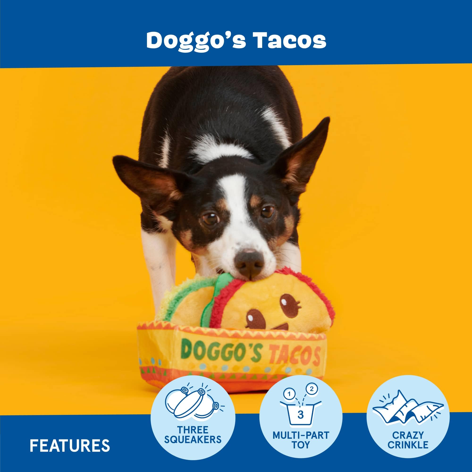 Barkbox Tacos individuales: opción de juego para perseguir y buscar.