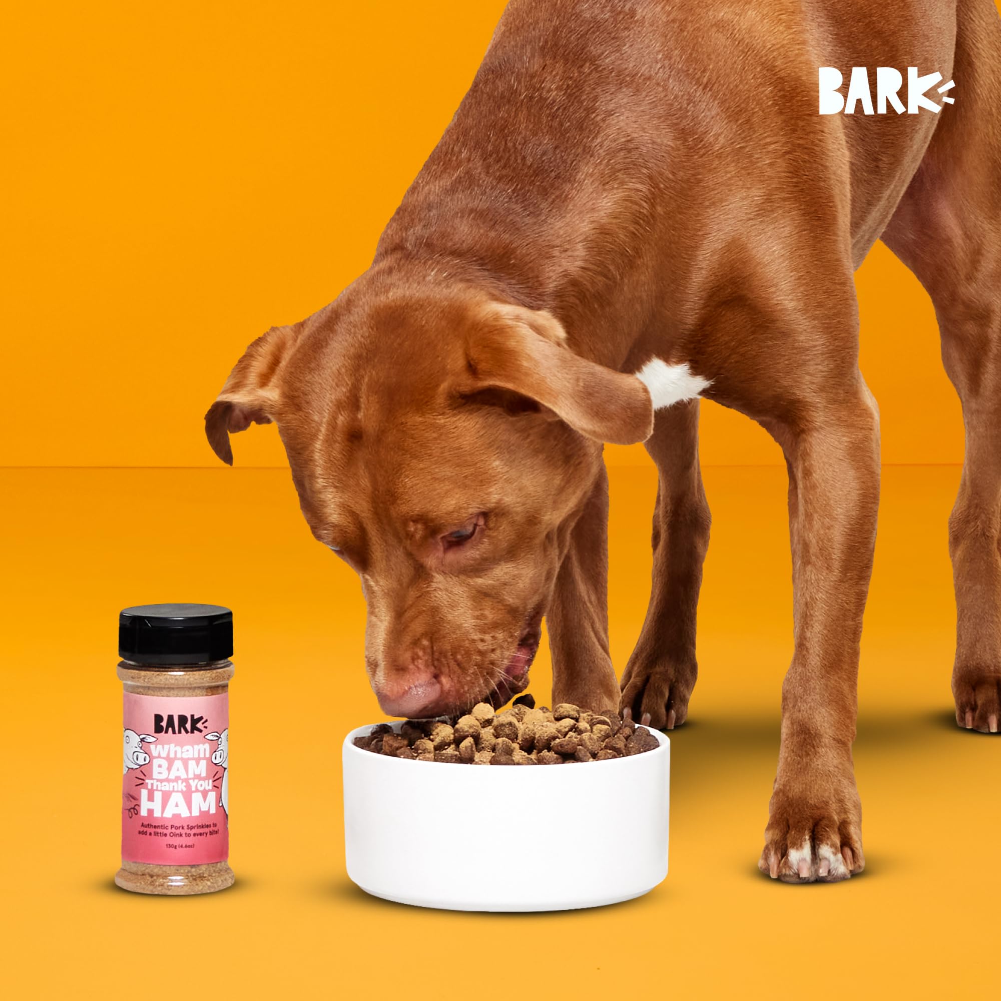 Barkbox Mezclador de Cerdo Apto para todas las razas, cachorros y adultos