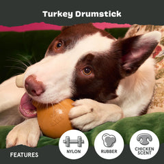Barkbox aroma de pavo atrae el interés del perro durante el juego