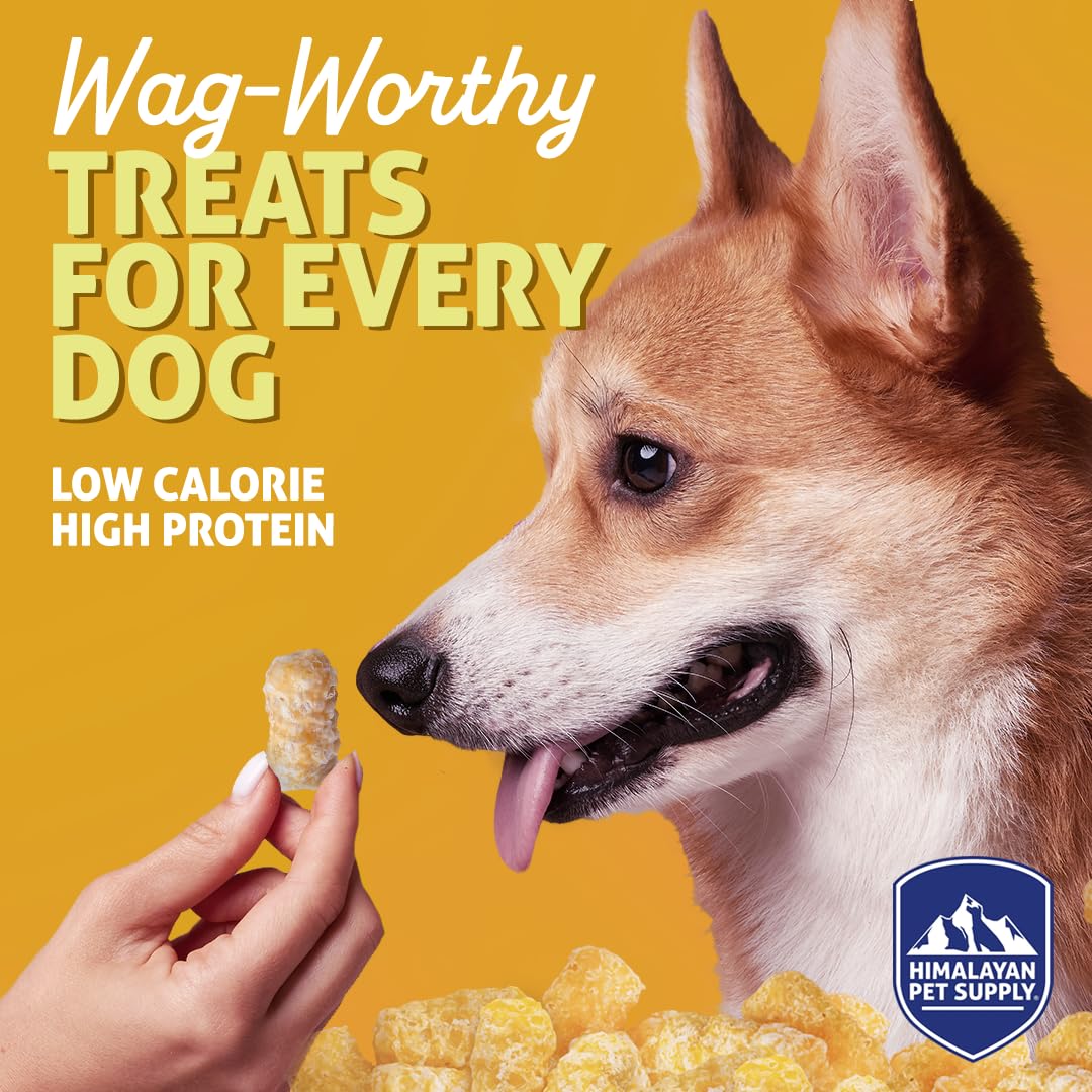 Barkeetos tocino-proteína: snack sabroso para perros activos