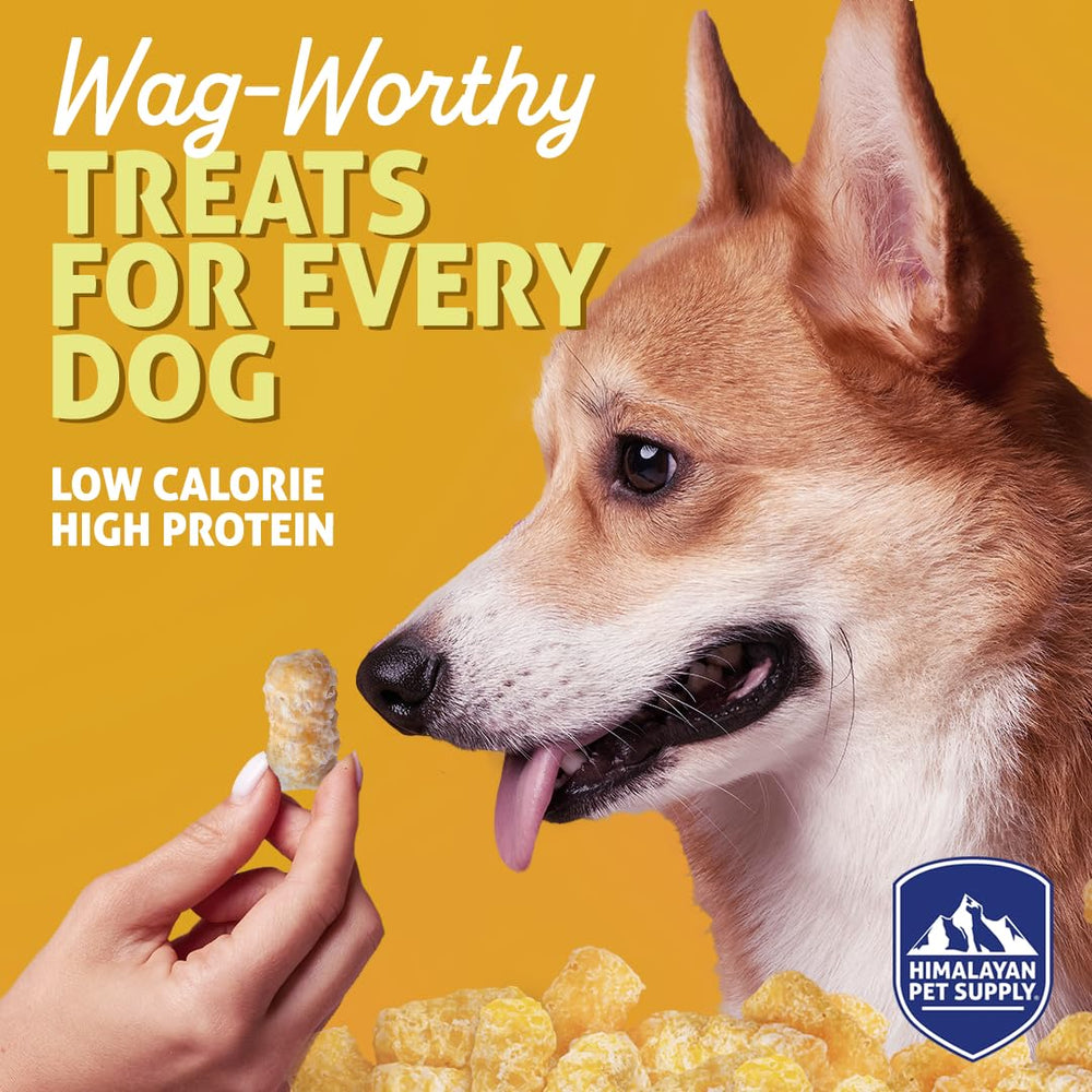 Barkeetos tocino-proteína: snack sabroso para perros activos