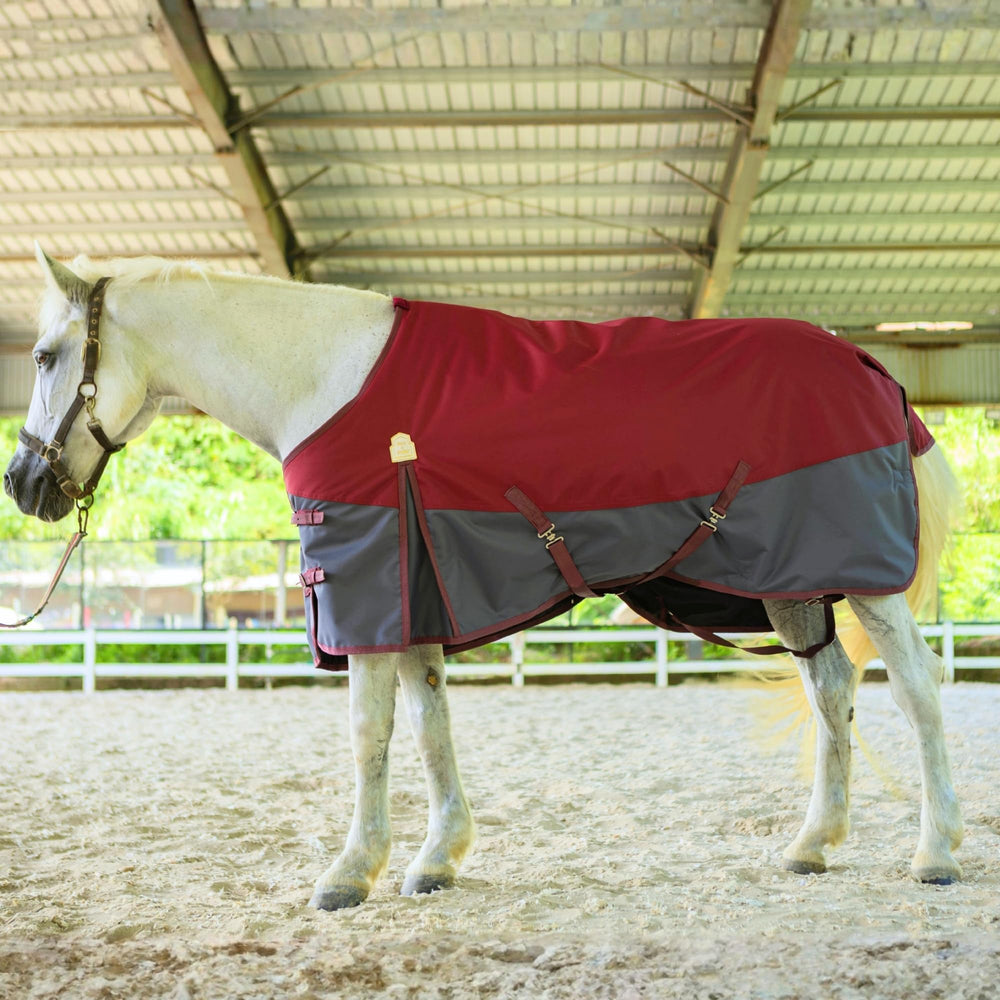 Uso en establo o campo en climas fríos con la manta Barn & Stable