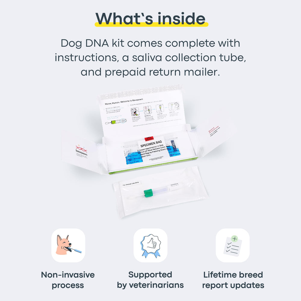 Basepaws kit de muestra para perros: envío sencillo y rápido