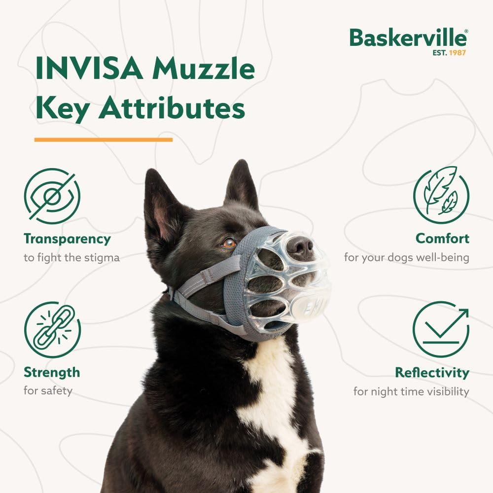 Guardia anti-escavado de Baskerville INVISA para evitar que el perro recoja comida.