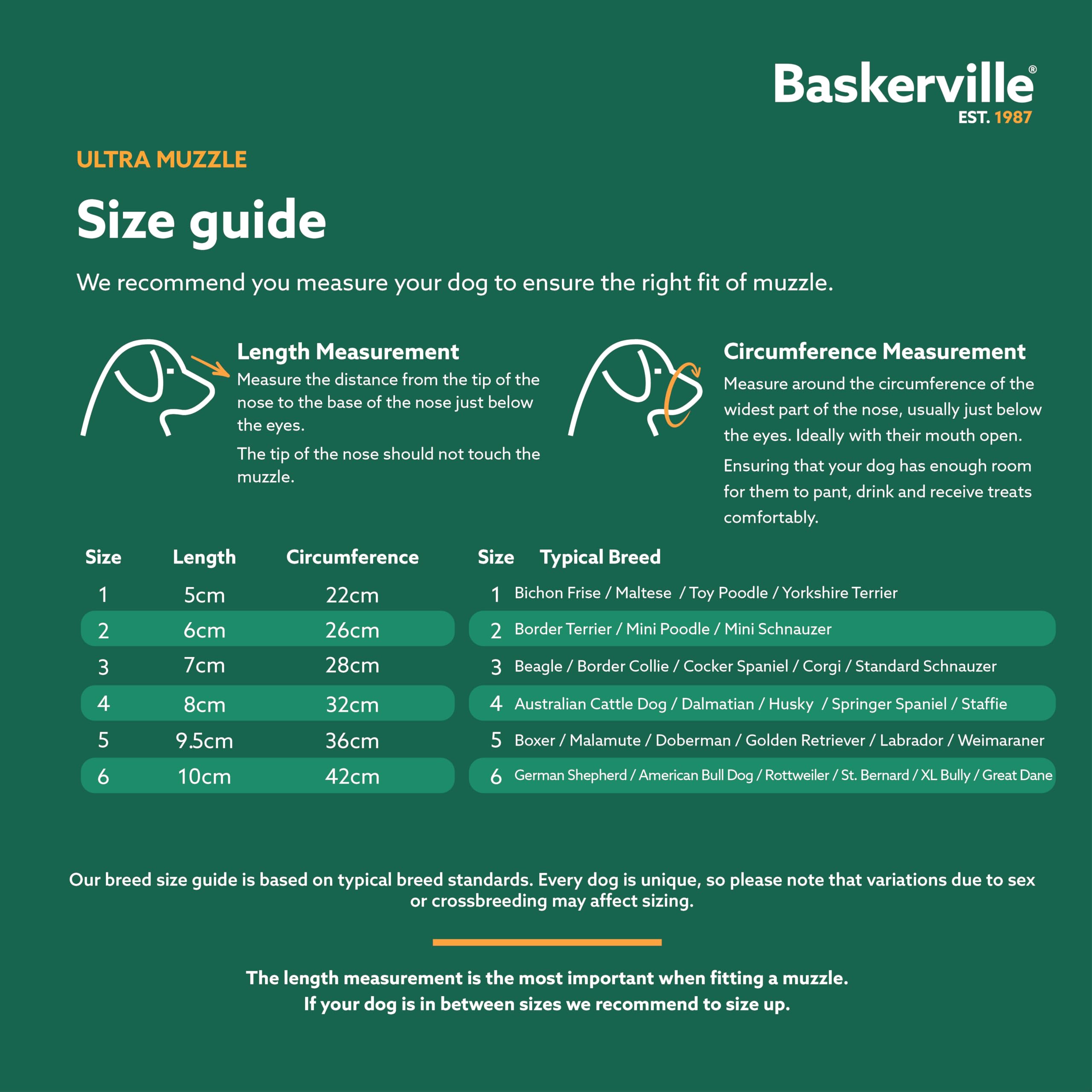 Baskerville Ultra Muzzle cierre seguro con clip de cuello.
