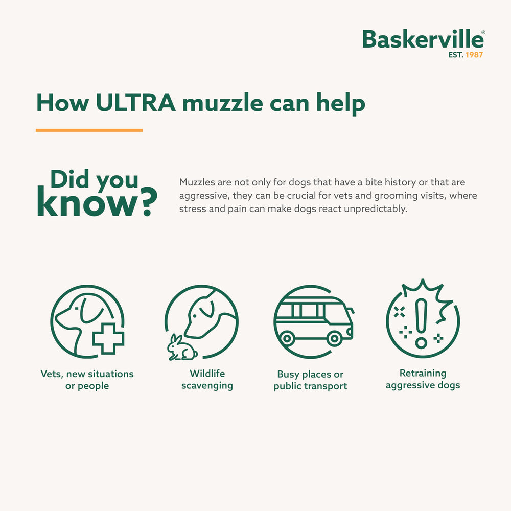 Baskerville Ultra Muzzle, diseño humano patentado, ofrece mayor comodidad.