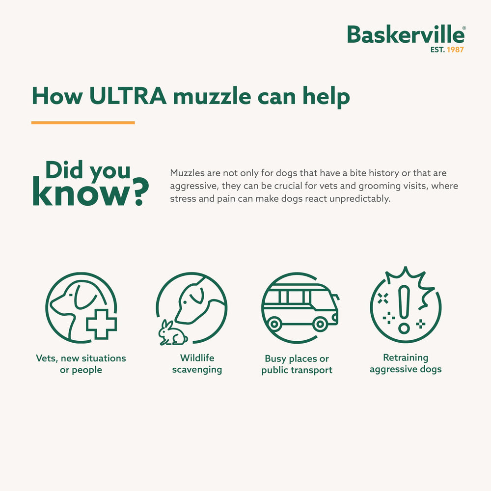 Baskerville Ultra Muzzle, detalle de diseño humano patentado, seguridad reforzada.
