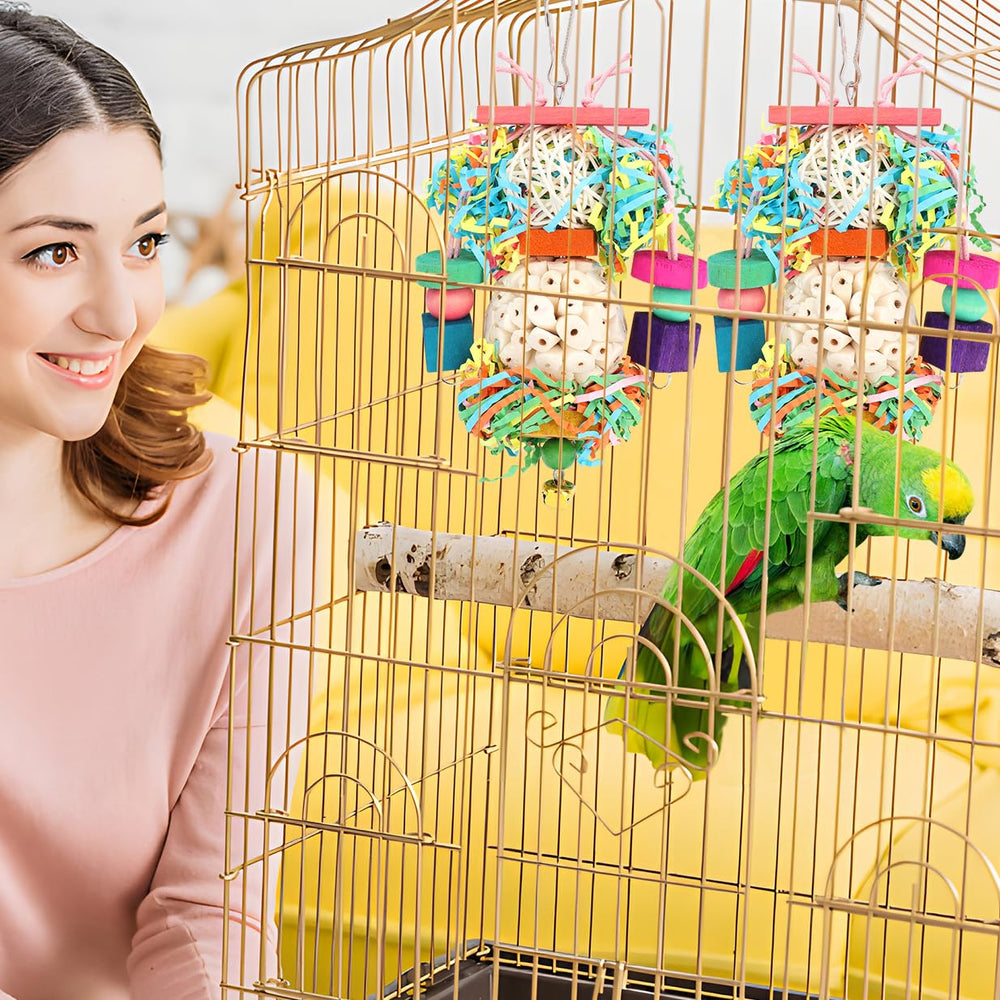 BBjinronjy regalo para aves: conjunto entretenido y seguro para la jaula.