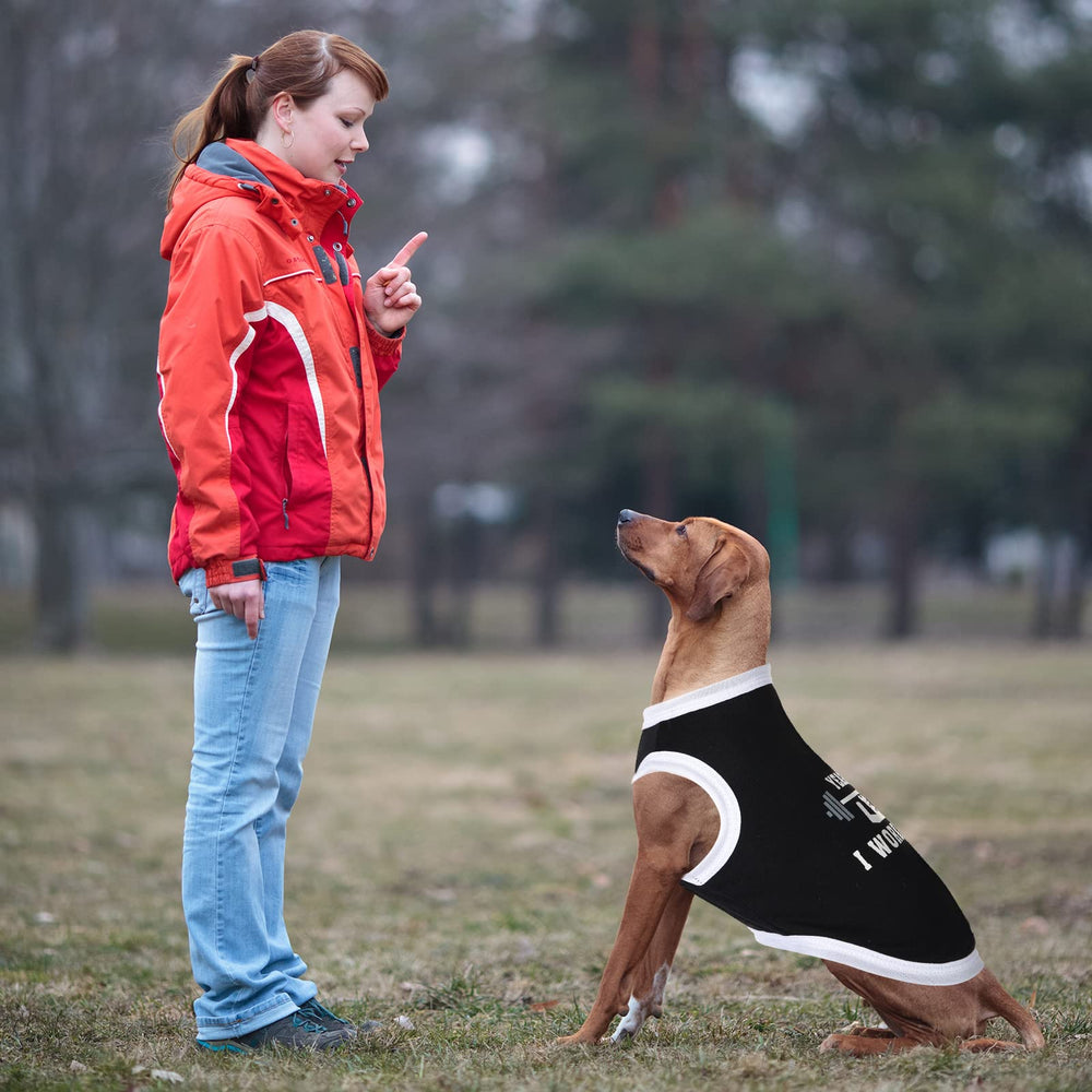 Tallas XS a XL para perros y gatos con BBTO.