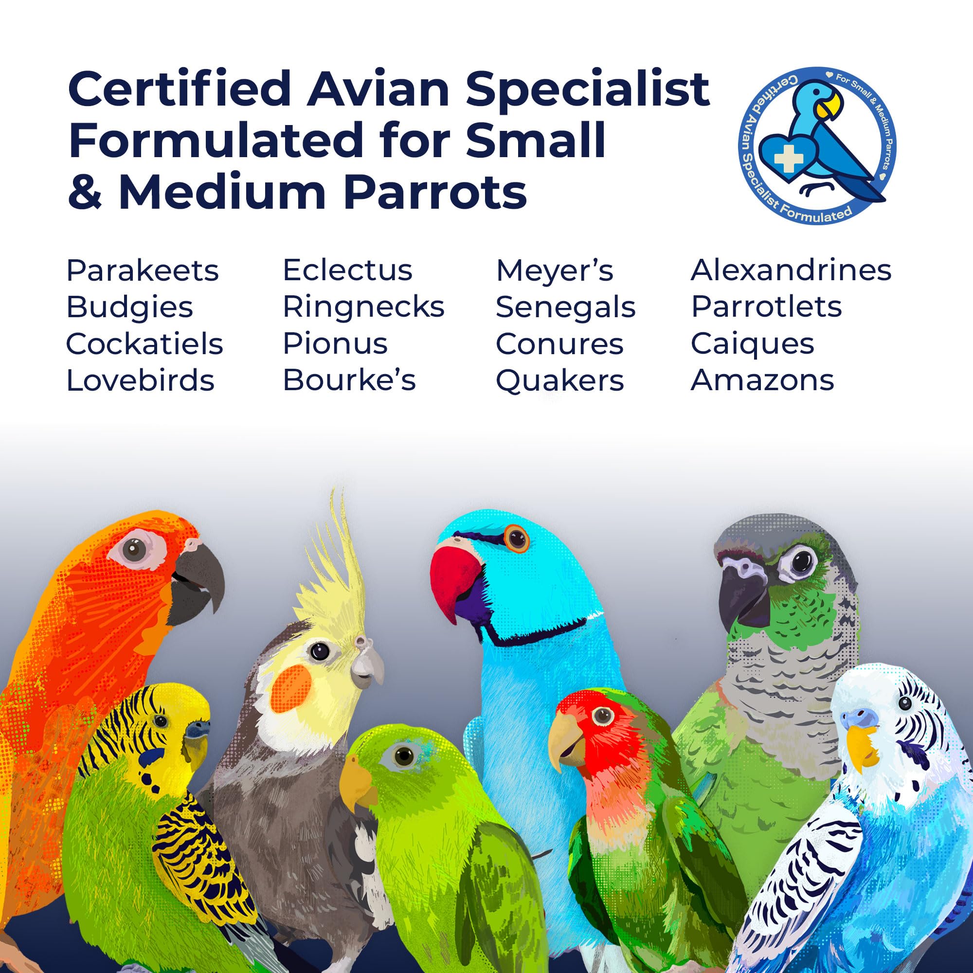 Beakology formulado por especialista aviar certificado para aves pequeñas.