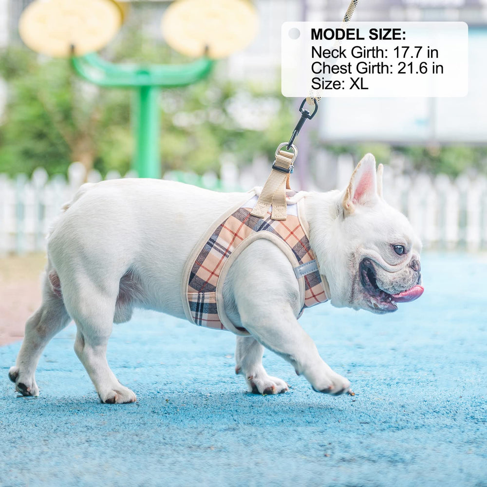 Diseno ligero BEAUTYZOO, ideal para entrenamiento y paseos nocturnos.