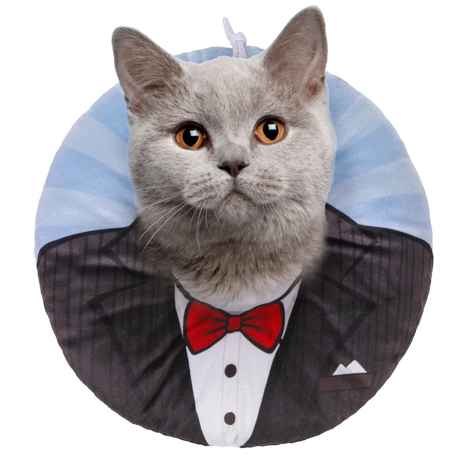 BEAUTYZOO collar-gato-suave-ajuste ofrece comodidad y ajuste seguro para gatos activos.
