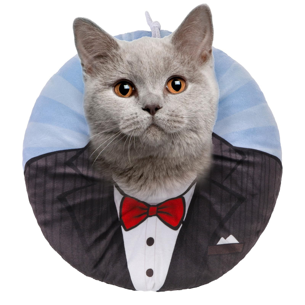 BEAUTYZOO collar-gato-suave-ajuste ofrece comodidad y ajuste seguro para gatos activos.