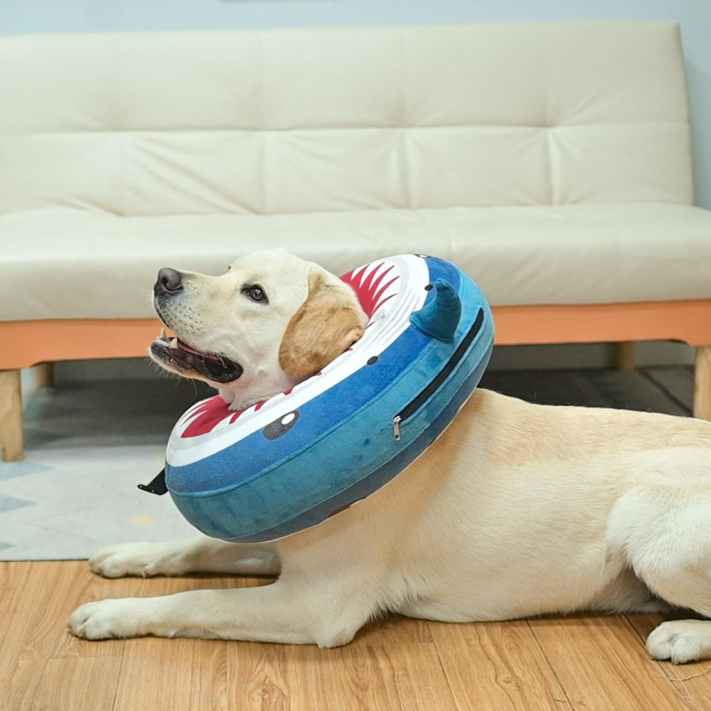 BEAUTYZOO collar inflable resistente a mordidas y lamidos tras cirugía