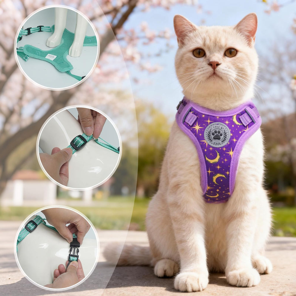 CONJUNTO ARNÉS Y CORREA PURPURA para gatitos pequeños.