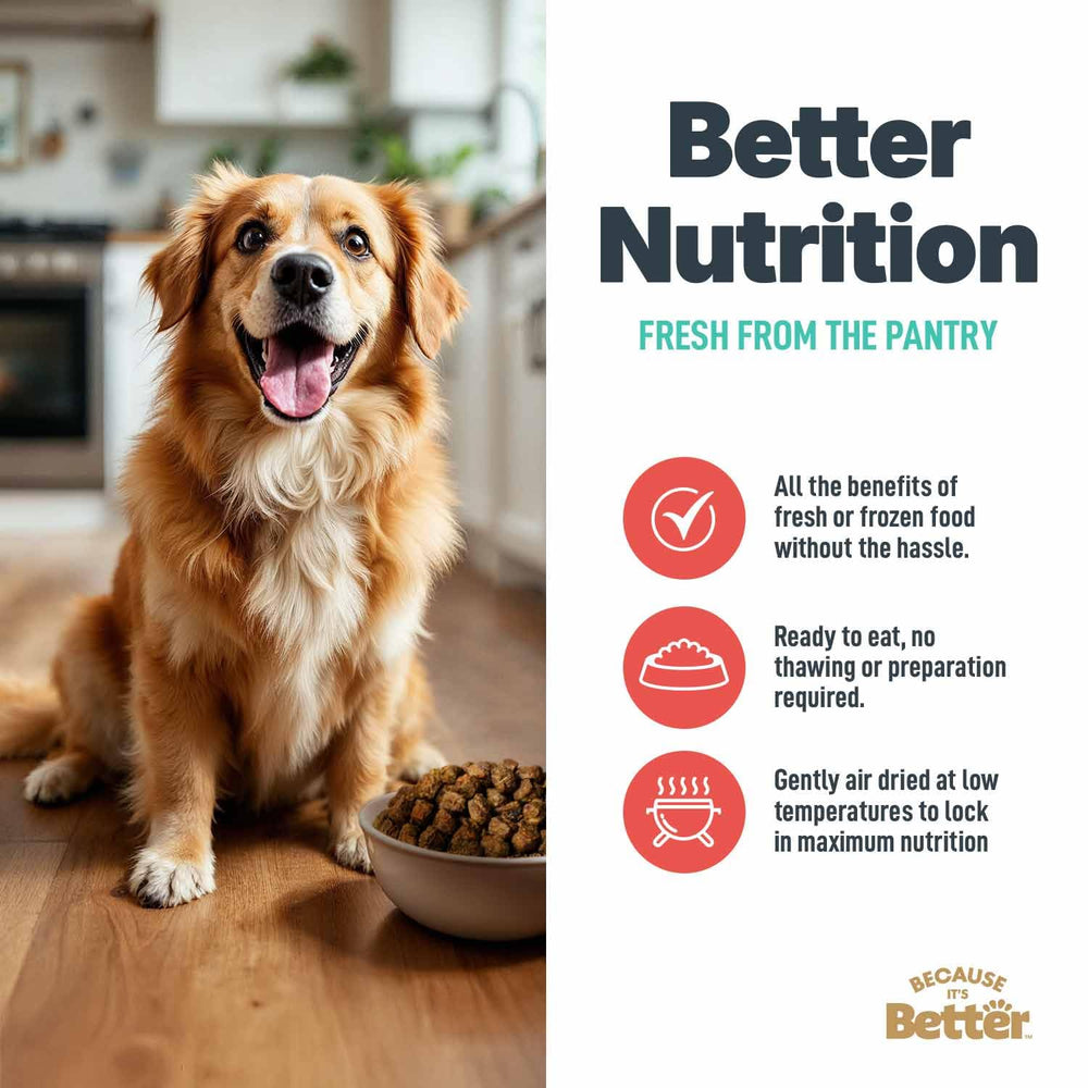 Because It’s Better: comida seca completa o topping sabroso para variar la dieta del perro.