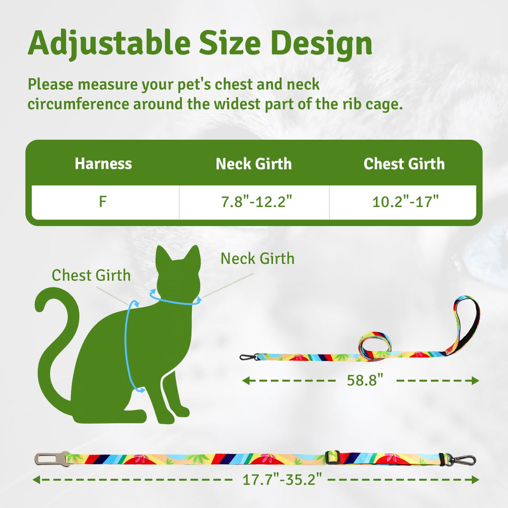 Aparato seguro para felinos pequeños, ideal para gatitos.