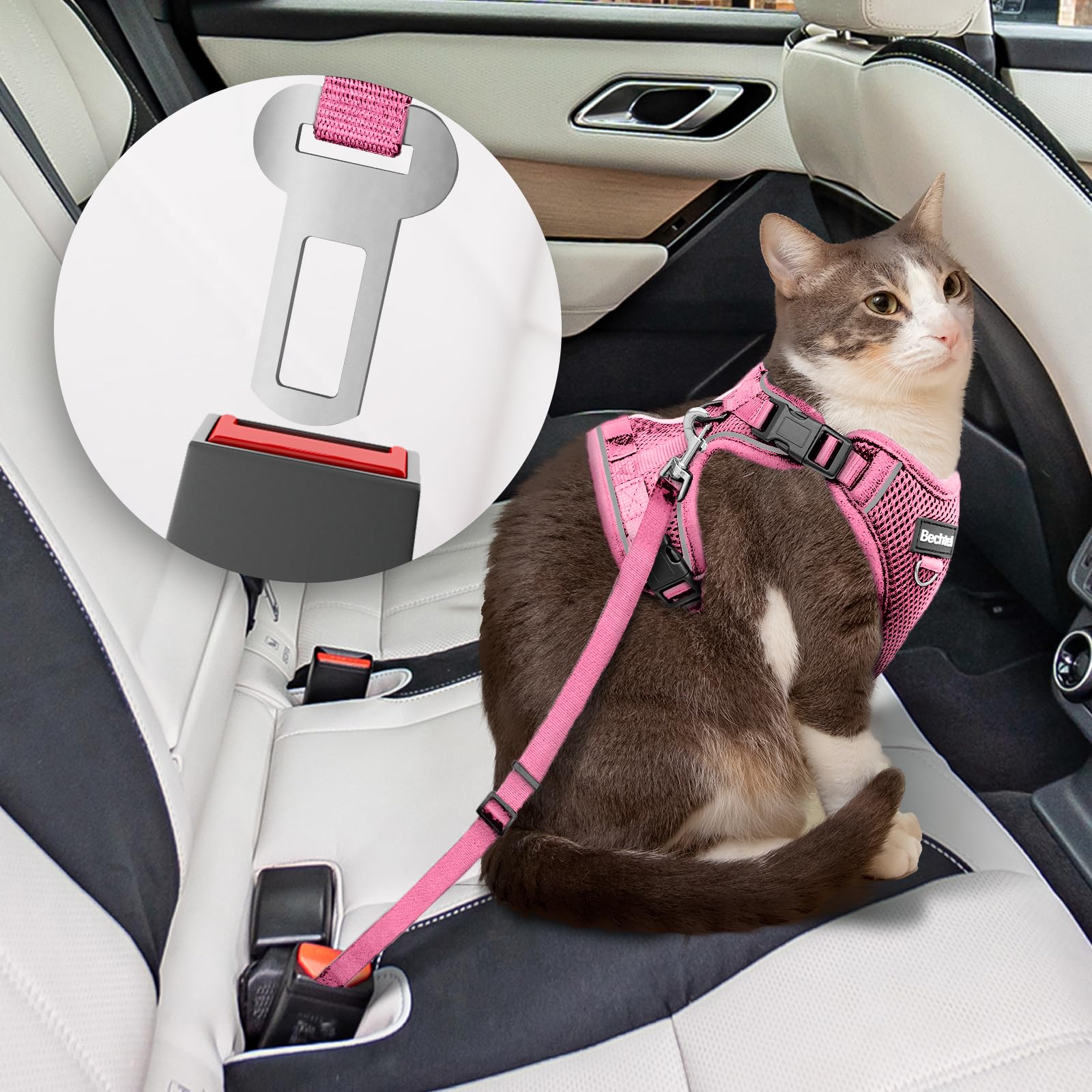 Arnés BECHTEL transpirable para gato rosa durante caminatas diarias.