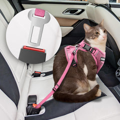 Arnés BECHTEL transpirable para gato rosa durante caminatas diarias.
