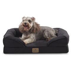 Bedfolks cama para perro ortopédica pequeña negra con soporte estable para articulaciones.