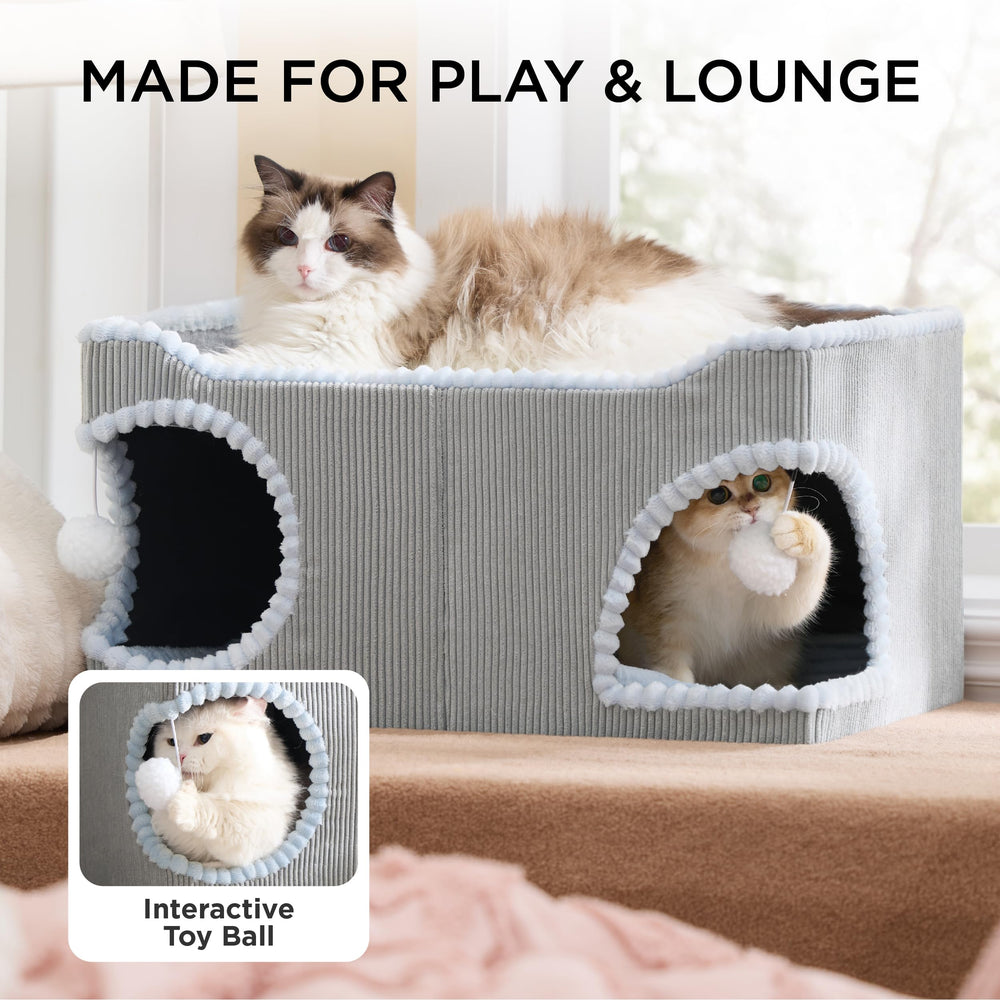 Bedsure cama para gatos grande, apta para varios gatos en casa.