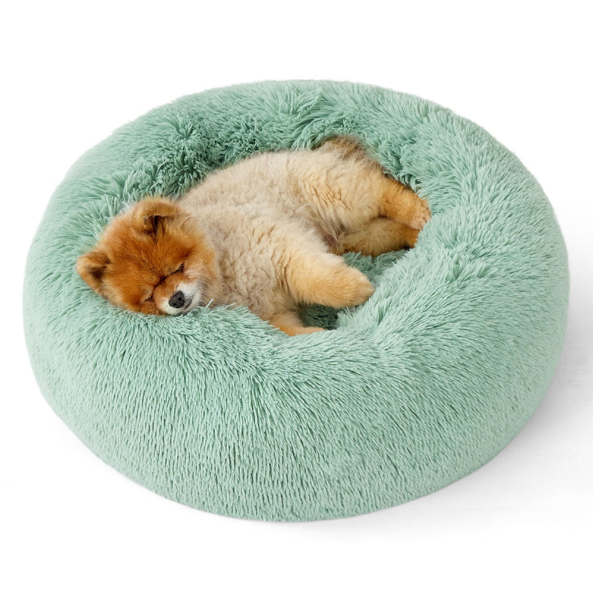 Bedsure cama donut de 23 pulgadas, verde manzana, descanso cómodo para perros pequeños
