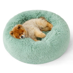 Bedsure cama donut de 23 pulgadas, verde manzana, descanso cómodo para perros pequeños