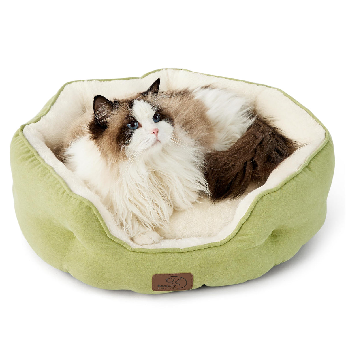 Bedsure cama para perro pequeño, vista general redonda en verde, descanso cómodo en casa.