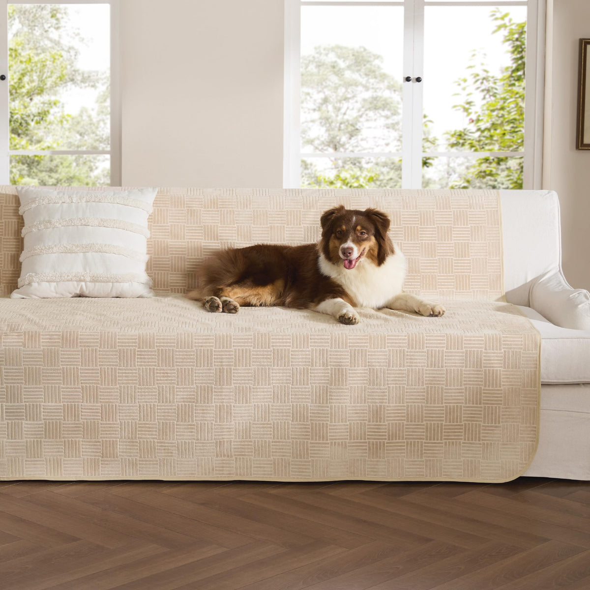 Bedsure cubre-impermeable-sofa-perros: protector ideal para mantener el sofá limpio ante mascotas.