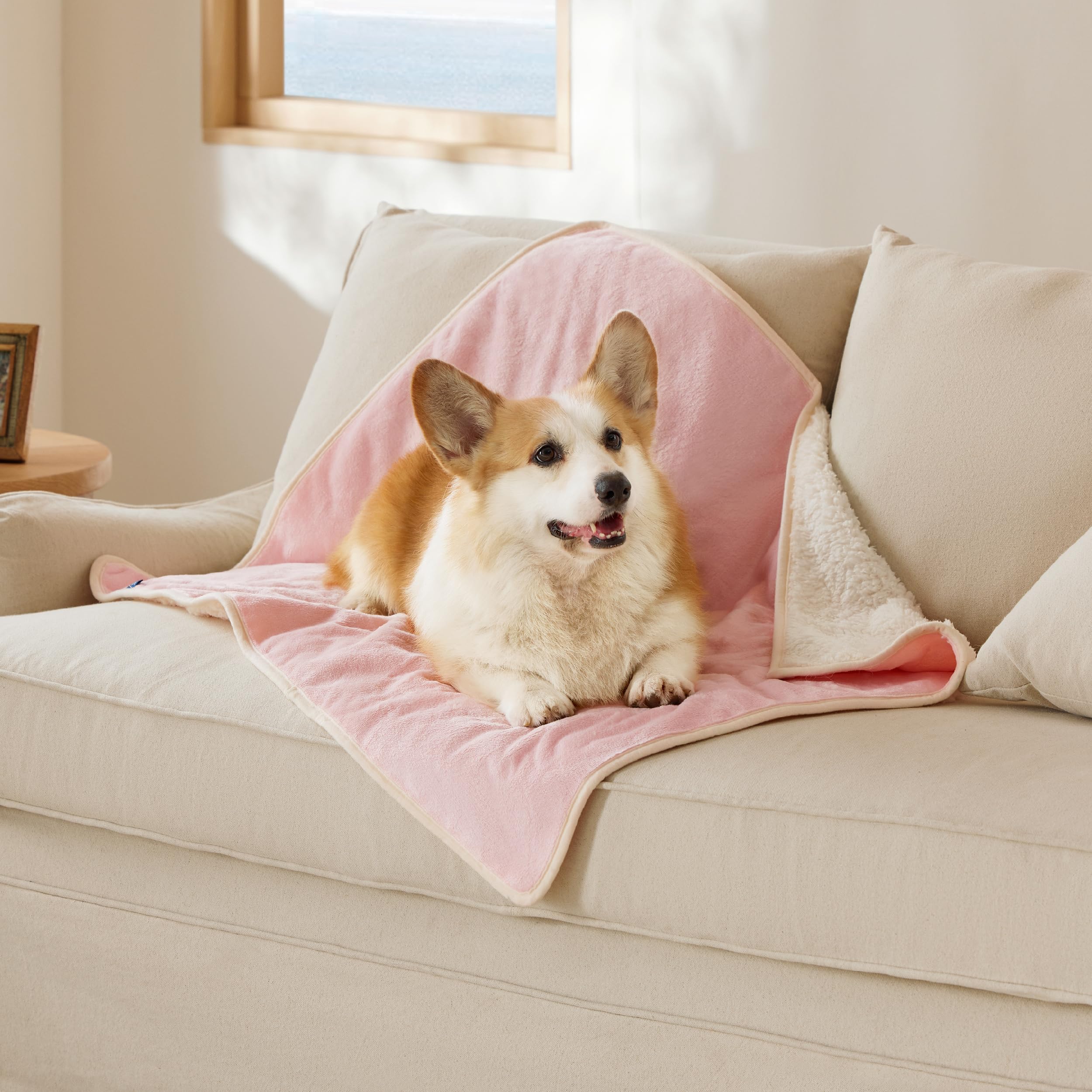 Bedsure manta impermeable para gatos protege el sofá de derrames y pelaje