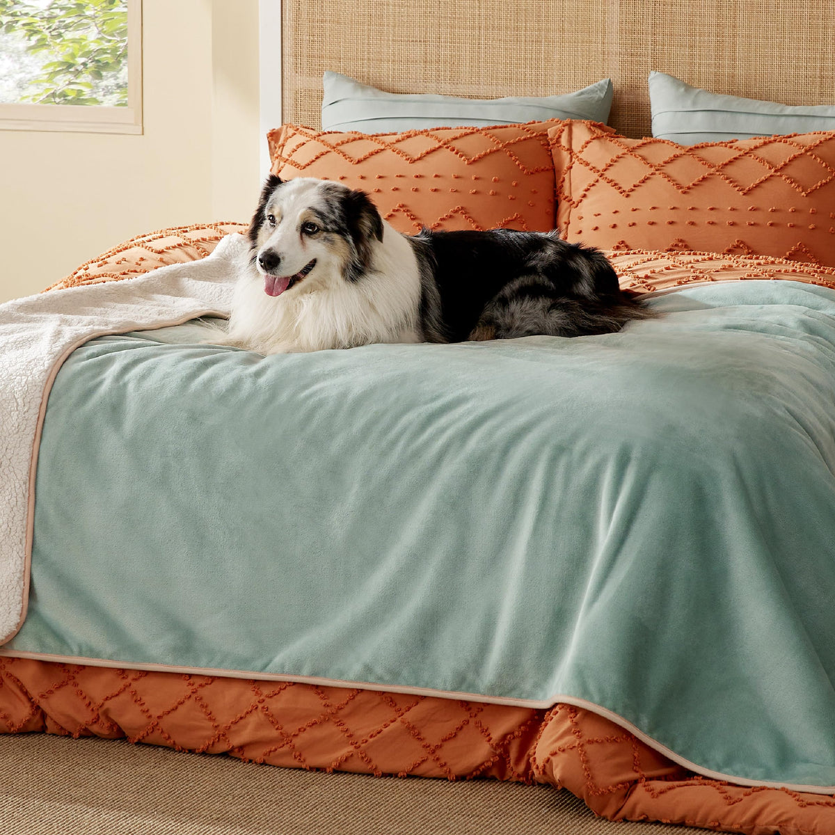 Bedsure manta impermeable para cama, frente de sherpa, calor suave para tu mascota.
