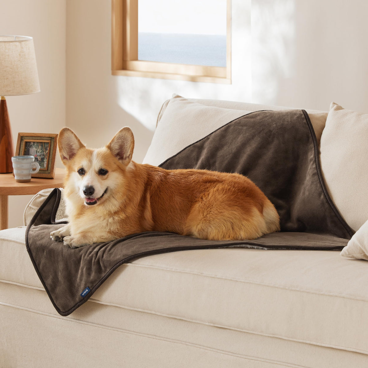 Bedsure manta impermeable para perro grande en sofá protege muebles contra derrames
