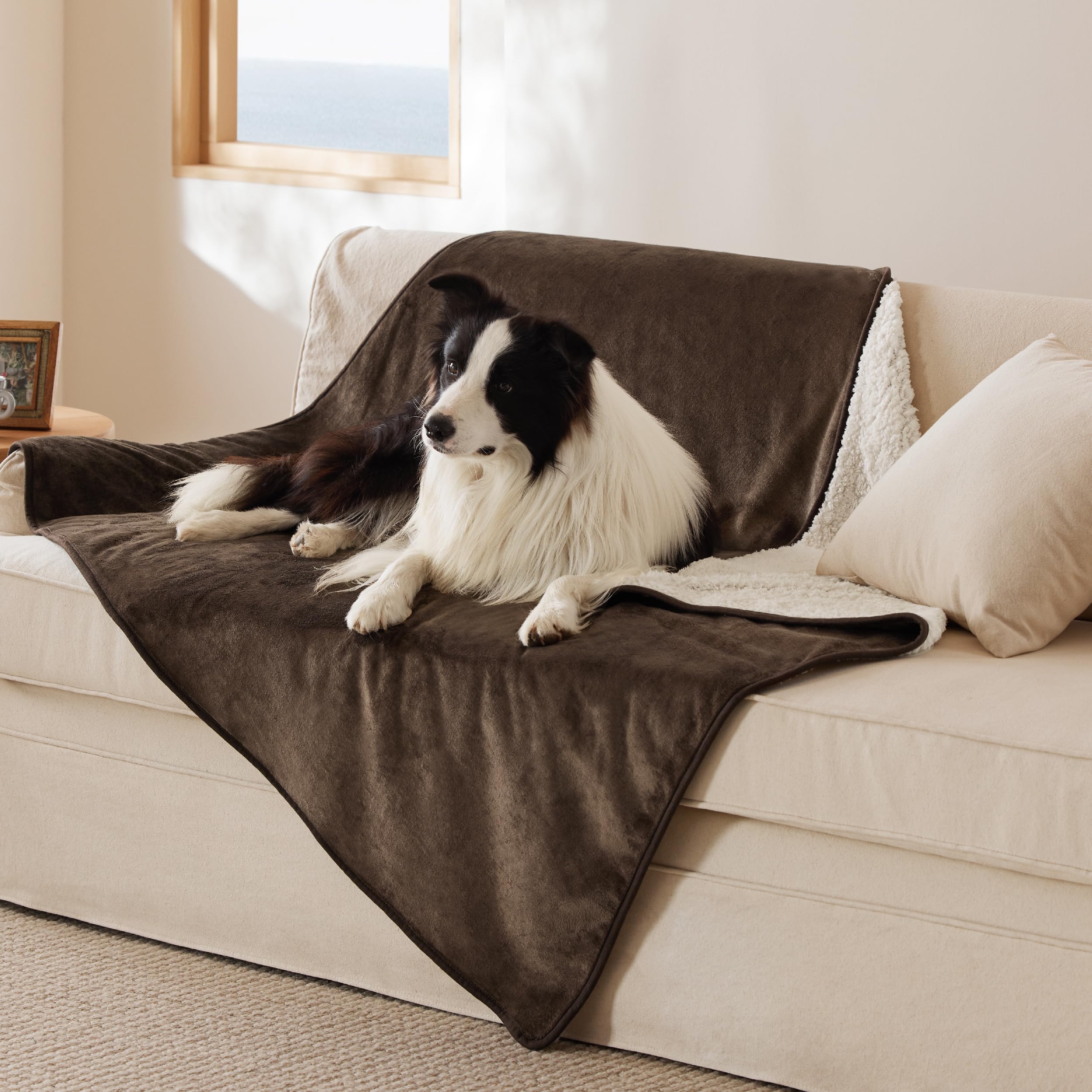 Bedsure manta impermeable para perros XXL protege el sofá ante salpicaduras.
