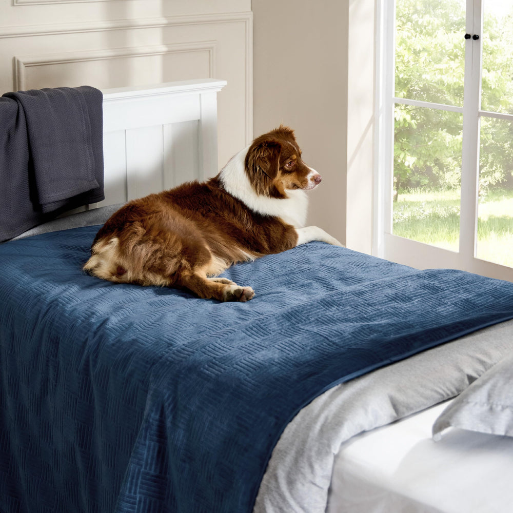 Bedsure protección duradera para perros y gatos en casa.