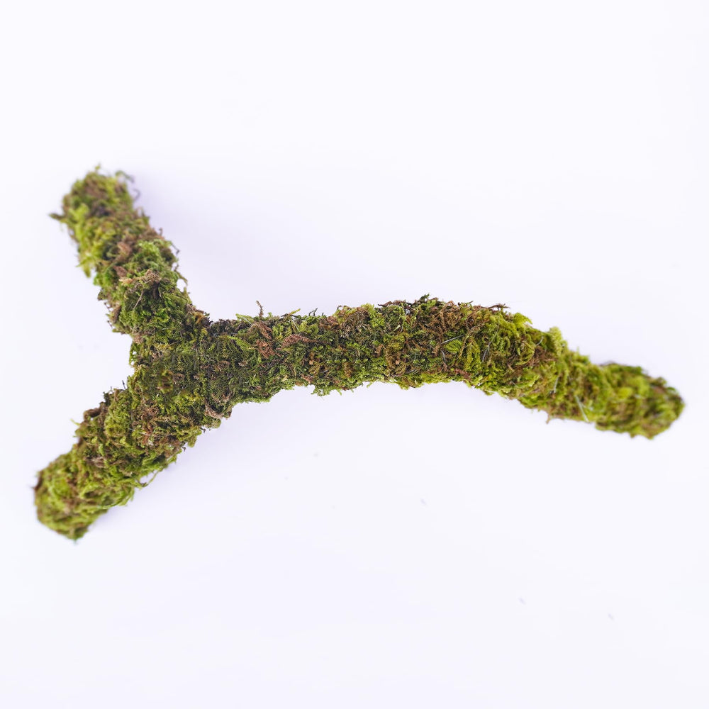 Begeterday aviso mantenimiento musgo natural: evitar sequedad y conservar flexibilidad.
