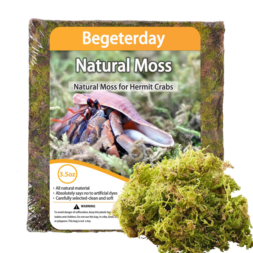 Begeterday musgo natural para cangrejos ermitaños, ideal para humedad estable.