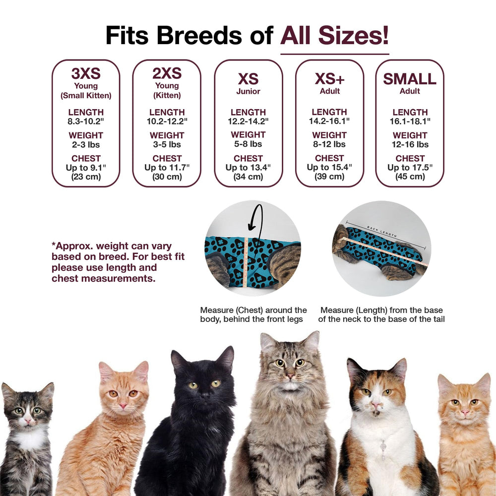 BellyGuard conjunto cirugía gato femenino: alternativa a cono para recuperación