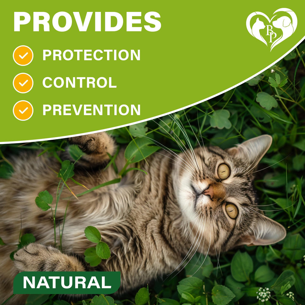 Beloved Pets collar para gatos fórmula natural con aceites esenciales seguros