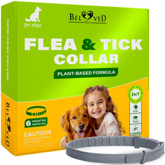 Beloved Pets collar frente pulgas y garrapatas, protección rápida sin mordidas.