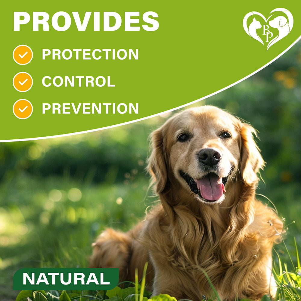 Beloved Pets collar agua resistente, apto para uso al aire libre.