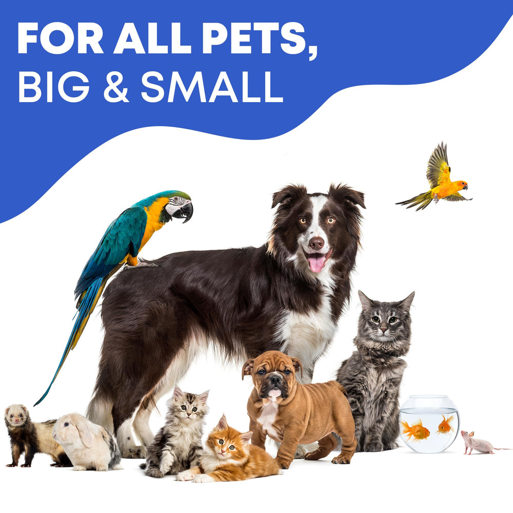 Beloved Pets: cuidado ocular para mascotas pequeñas, uso seguro.