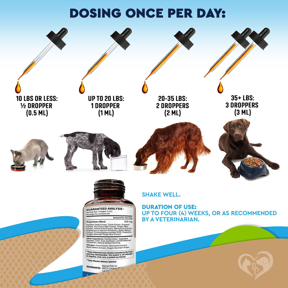 Beloved Pets flora intestinal equilibrada: apoyo para bienestar digestivo.