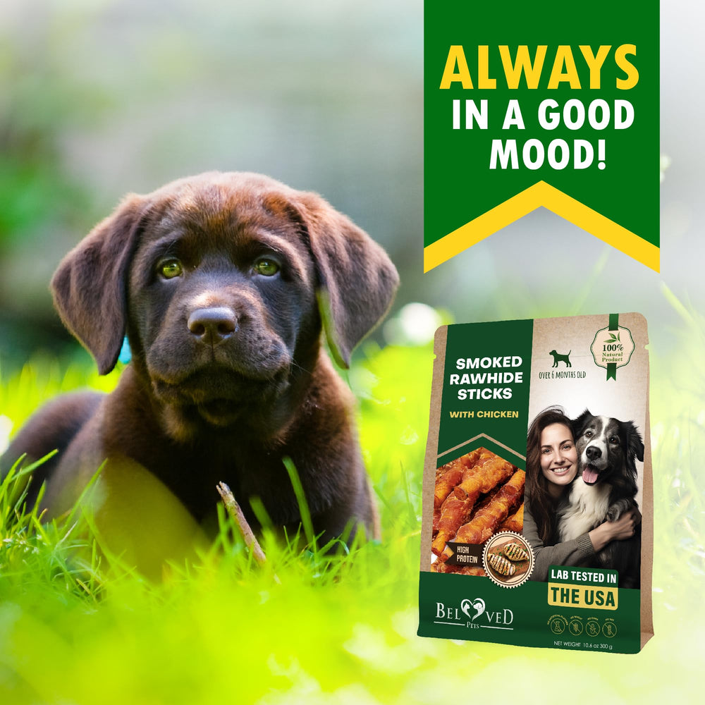 Bâtonnets Beloved Pets pour la mastication et le plaisir canin