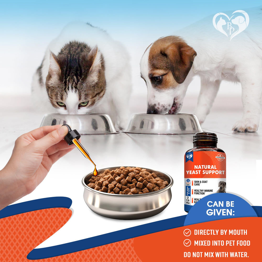 Beloved Pets ingredientes herbales naturales, apoyan bienestar general en mascotas.