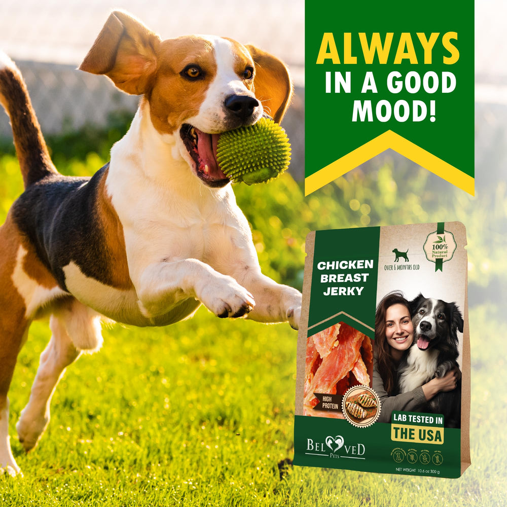 Beloved Pets jerky de pollo en bolsa suave, snack práctico.