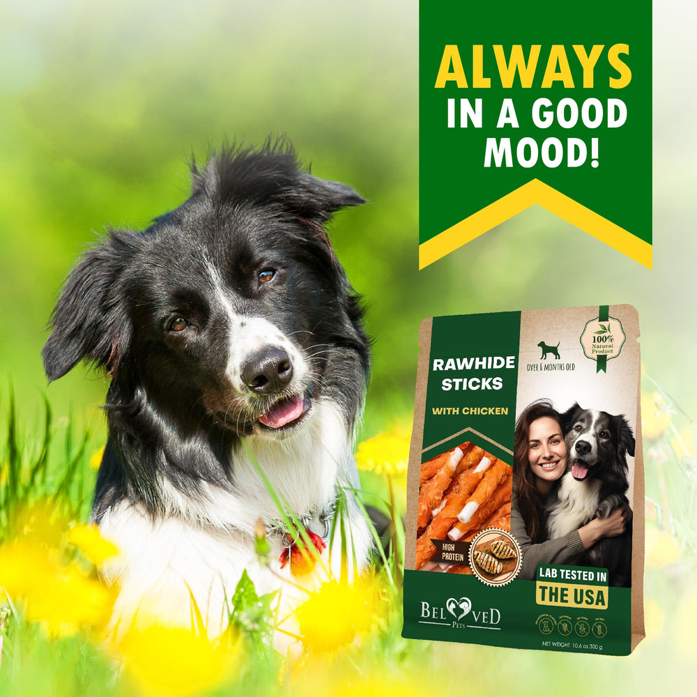 Beloved Pets – os enrobé poulet de haute qualité, distraction sûre.