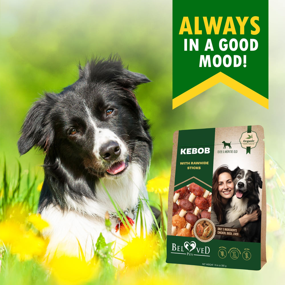 Beloved Pets Paseos y entrenamiento con snack agradable